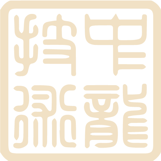 中龙技术